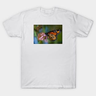 A Monarch Butterfly T-Shirt